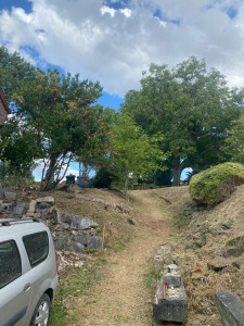 Photo de galerie - Débroussaillage + élagage 