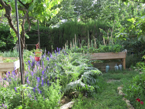 Photo de galerie - Installation potager libre