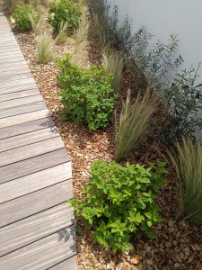 Photo de galerie - Plantation