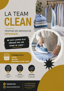 Photo de galerie - Lingerie - Repassage