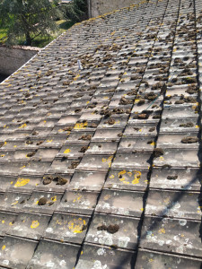 Photo de galerie - Démoussage de toit 