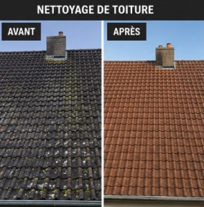 Photo de galerie - Nettoyage de toiture anti mousse à petite tension