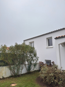 Photo de galerie - Après abattage