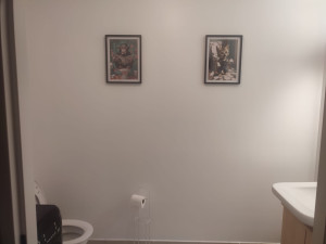 Photo de galerie - Peinture dans des toilettes 