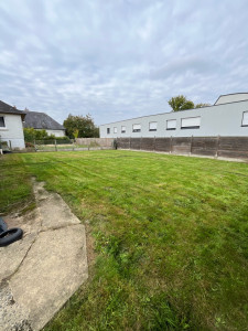 Photo de galerie - Tonte de pelouse