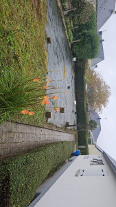 Photo de galerie - Nettoyage terrain 