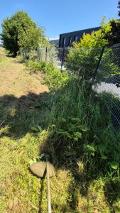 Photo de galerie - Fauchage 