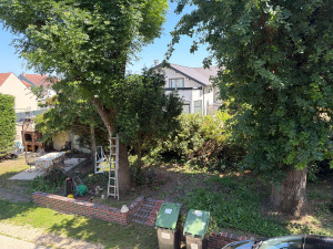 Photo de galerie - Paysagiste - Aménagement du jardin