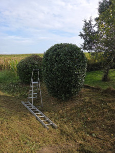 Photo de galerie - Fini