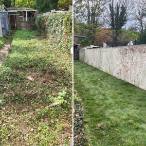 Photo de galerie - Paysagiste - Aménagement du jardin