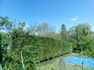 Photo de galerie - Haie rabattu a 2m50 