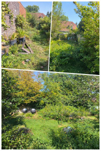 Photo de galerie - Besoin d'un bon nettoyage ?