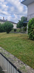 Photo de galerie - Tonte et debroussaillage APRÈS 