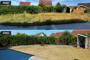 Photo de galerie - Transformation de jardin : tonte et débroussaillage