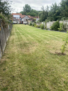 Photo de galerie - Tonte de pelouse