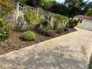 Photo de galerie - Création massif