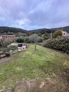 Photo de galerie - Tonte