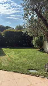 Photo de galerie - Tonte pelouse 