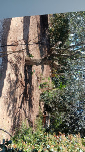 Photo de galerie - Paysagiste - Aménagement du jardin