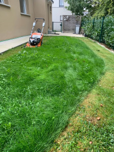 Photo de galerie - Tonte de pelouse - Débroussaillage