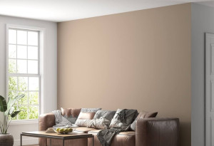 Photo de galerie - Peinture en couleur différente 