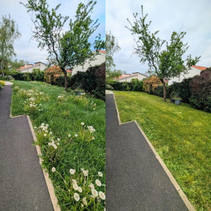 Photo de galerie - Débroussaillage, tonte et ramassage des déchets 