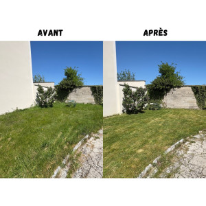 Photo de galerie - Tonte de pelouse - Débroussaillage