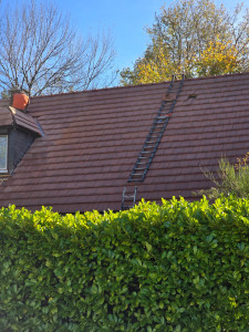 Photo de galerie - Couverture - Toiture