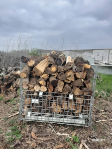 Photo de galerie - Coupe d’arbres 