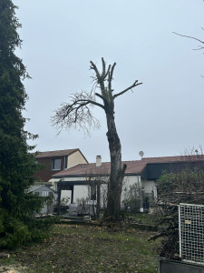 Photo de galerie - Après 