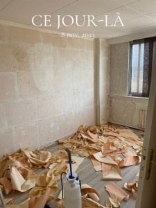 Photo de galerie - Dépose du papier peint , rebouchages, ponçage et pose du nouveau papier peint 