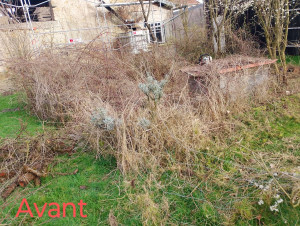 Photo de galerie - Terrain en friche 
