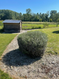 Photo de galerie - Entretien espaces extérieurs aménagement, tonte, taillage de buisson et d’arbres ( abattage compris ) 