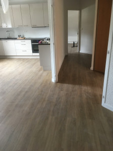 Photo de galerie - Rénovation de comble 