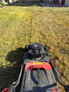 Photo de galerie - Tonte de pelouse 