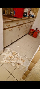 Photo de galerie - Nettoyage après travaux