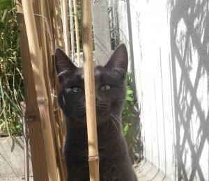 Photo de galerie - Je me cache