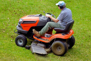 Photo de galerie - Tonde de pelouse

