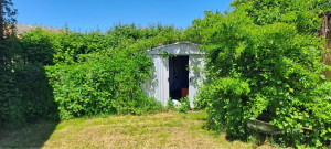Photo de galerie - Débroussaillage