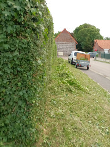 Photo de galerie - Taille haie 