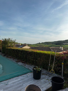 Photo de galerie - Élagage d'une haie en bord de piscine afin de découvrir la vue depuis la terrasse.