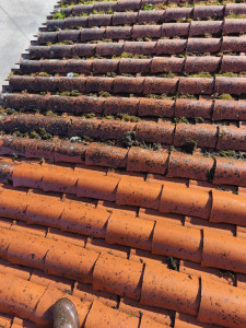 Photo de galerie - Couverture - Toiture