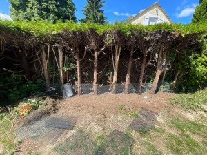 Photo de galerie - Clôture Grillage