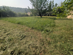 Photo de galerie - Débroussaillage + tonte 