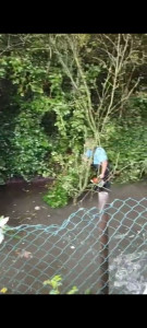 Photo de galerie - Coupe d'arbre qui se penchent dans la rivière de la AA à gravelines 