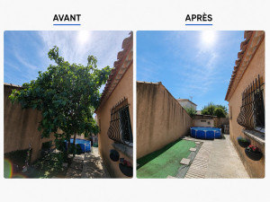 Photo de galerie - Elagage et coupe d'arbres
