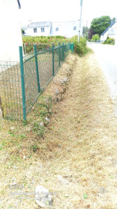 Photo de galerie - Tonte de pelouse - Débroussaillage