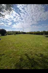 Photo de galerie - Tonte de gazon avec ramassage et évacuation des déchets 