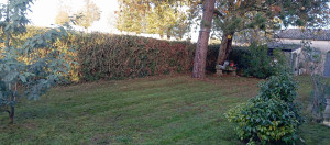 Photo de galerie - Résultats nickel 