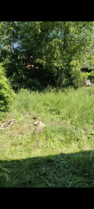 Photo de galerie - Jardinier